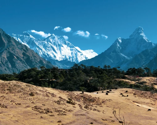View From Near Everest View Hotel 