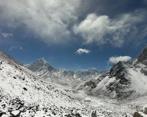 View