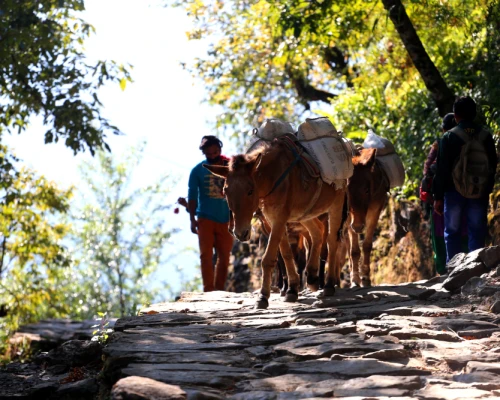 Walking The Birethanti Trail With The Locals