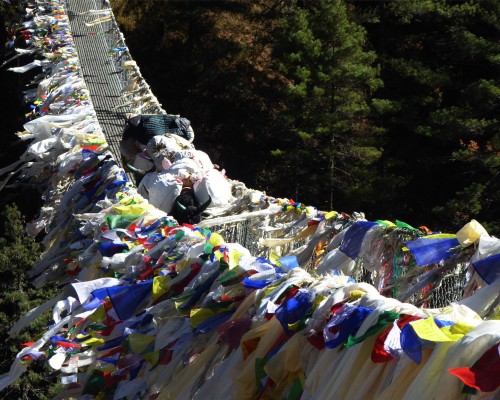 Yak And Suspension Bridge